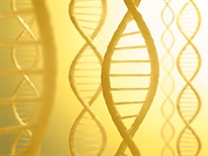Quality and Quantity of Nucleic Acids in NGS