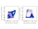 Very Good Anti-Mouse B220 Antibody