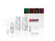Now Order ALL COVID-19 Testing Products From One Company