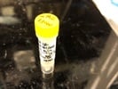 Anti-Mouse IgG, HRP-Linked Antibody Works Well as Secondary Antibody for Western Blotting