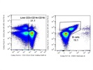 Usable Anti-Human CD20 Antibody