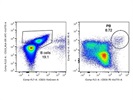 Good Option for Human CD38 Antibody