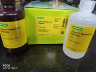 A Good Developing Reagent for Western Blotting