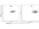 Reliable Antibody for Staining Human Neutrophils