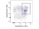 Using CD24 to Detect Dendritic Cells