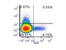 Good Antibody to Stain IL8 in Human Cells