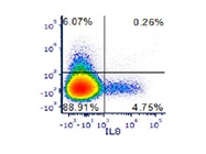 Good Antibody to Stain IL8 in Human Cells