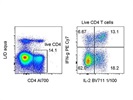 Not Very Bright IL2 Staining, but Usable