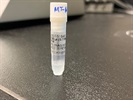 Time Course Effect of Chemoattractant on MT-ND1 Expression