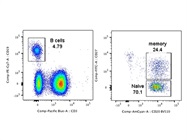 Very Good Anti-human CD27 Antibody for Flow Cytometry
