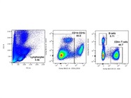 Good Option to Stain Human CD4