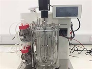 High Cell Density Cultivation of E. coli
