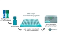 Complimentary ONE-Step™ Luciferase Assay System with any BPS Bioscience reporter cell line purchase