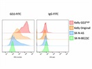 Okay Signal with the GD2-FITC Antibody