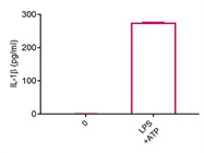 Love this Human IL-1b ELISA kit from Biolegend