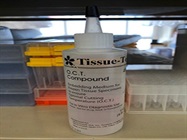 Easy to use Embedding Compound from Fisher Scientific