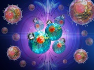 Cell Separation and Isolation Methods: Balancing the Traditional with the Novel