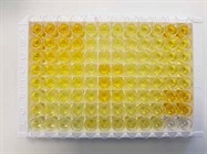 Easy to Use Human Laminin ELISA Kit