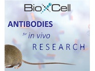 Discover Bio X Cell Antibodies for in vivo Use