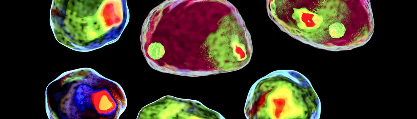  Cell Cycle Analysis with Flow Cytometry