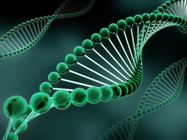 GenElute-E Single Spin Kits for Easier Nucleic Acid Preparation with Fewer Impurities