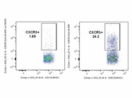 Good Antibody to Stain Mouse CXCR3