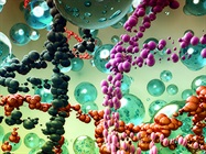 The Case for Single-Cell Proteogenomics