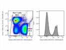Acceptable Anti-mouse CD3e for Flow Cytometry