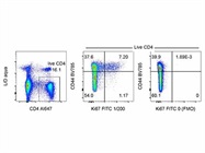 Excellent Antibody for Detecting Ki67 in Mouse