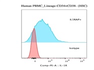 Best IL-1 RAcP Antibody for Human Cells