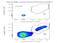PE/Cyanine5 anti-human CD41 Antibody Works Great for Human Cells