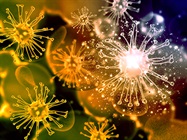Expert Tips on Optimizing Immunoassay Design and Validation