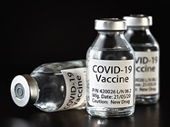 Desperately Seeking COVID-19 Vaccines