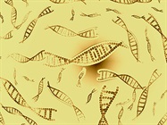 Improving Your CRISPR Workflow