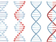 Tips and Tricks for Successful RNA-seq Library Preparation