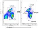 Excellent Antibody for Analyzing Blood Leukocytes
