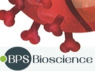 Lentivirus-based alternatives to live-virus restrictions