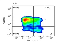 Great Signal from APC anti-mouse CD150