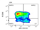 PE anti-mouse CD48 Works Well