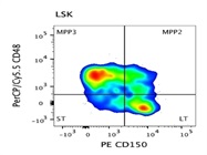 PerCP/Cy5.5 anti-mouse CD48 Has Good Signal