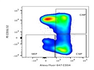 Alexa Fluor 647 anti-mouse CD34 Has Strong Signal
