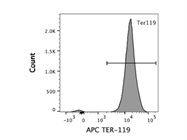 APC anti-mouse TER-119 Has Great Signal
