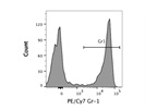 PE/Cy7 anti-mouse Ly-6G/Ly-6C (Gr-1) Has Good Signal
