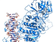 DNA Methylation Tools to Advance Cancer Research