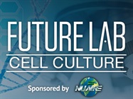 How to Be Successful in Setting Up Your Lab