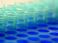 Best Practices for Purifying PCR Products