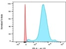 Anti-phospho Lyn (Y396) Rabbit Monoclonal Antibody