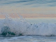 Quantifying Reagent-Grade Water