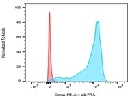 Anti-Phospho-Il7R(Y449) Antibody