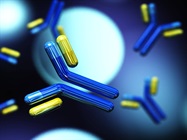 Improving Antibody Selection for Flow Cytometry